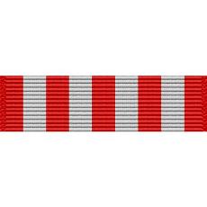 Ohio National Guard Distinguished Service Medal Ribbon